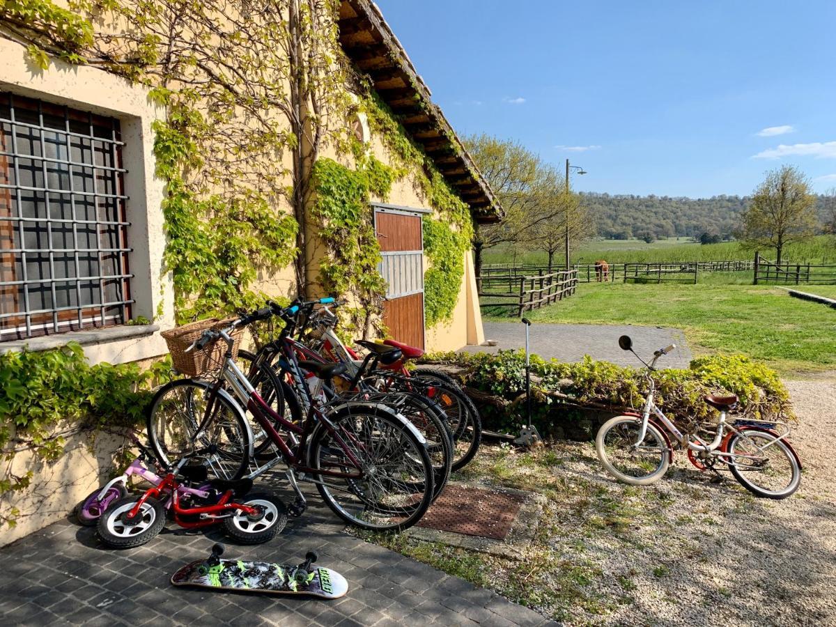 Agriturismo Potrero Grande Sul Lago Di Martignano Con Spiaggia Кампаняно ди Рома Екстериор снимка
