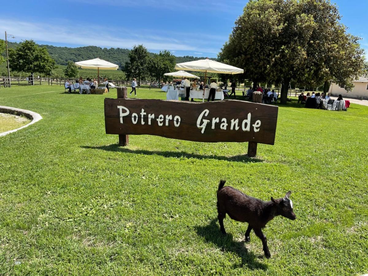 Agriturismo Potrero Grande Sul Lago Di Martignano Con Spiaggia Кампаняно ди Рома Екстериор снимка