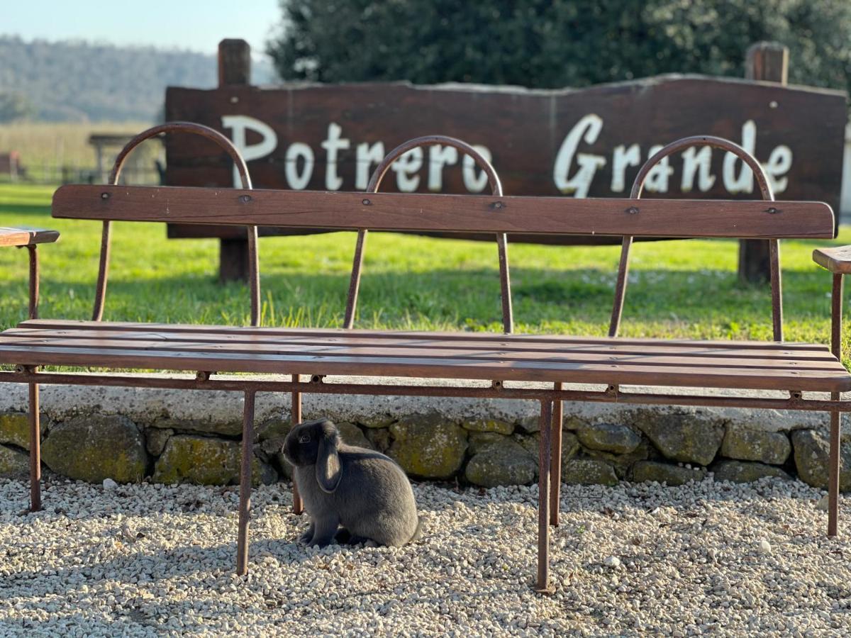 Agriturismo Potrero Grande Sul Lago Di Martignano Con Spiaggia Кампаняно ди Рома Екстериор снимка