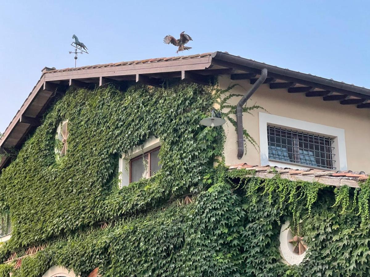 Agriturismo Potrero Grande Sul Lago Di Martignano Con Spiaggia Кампаняно ди Рома Екстериор снимка