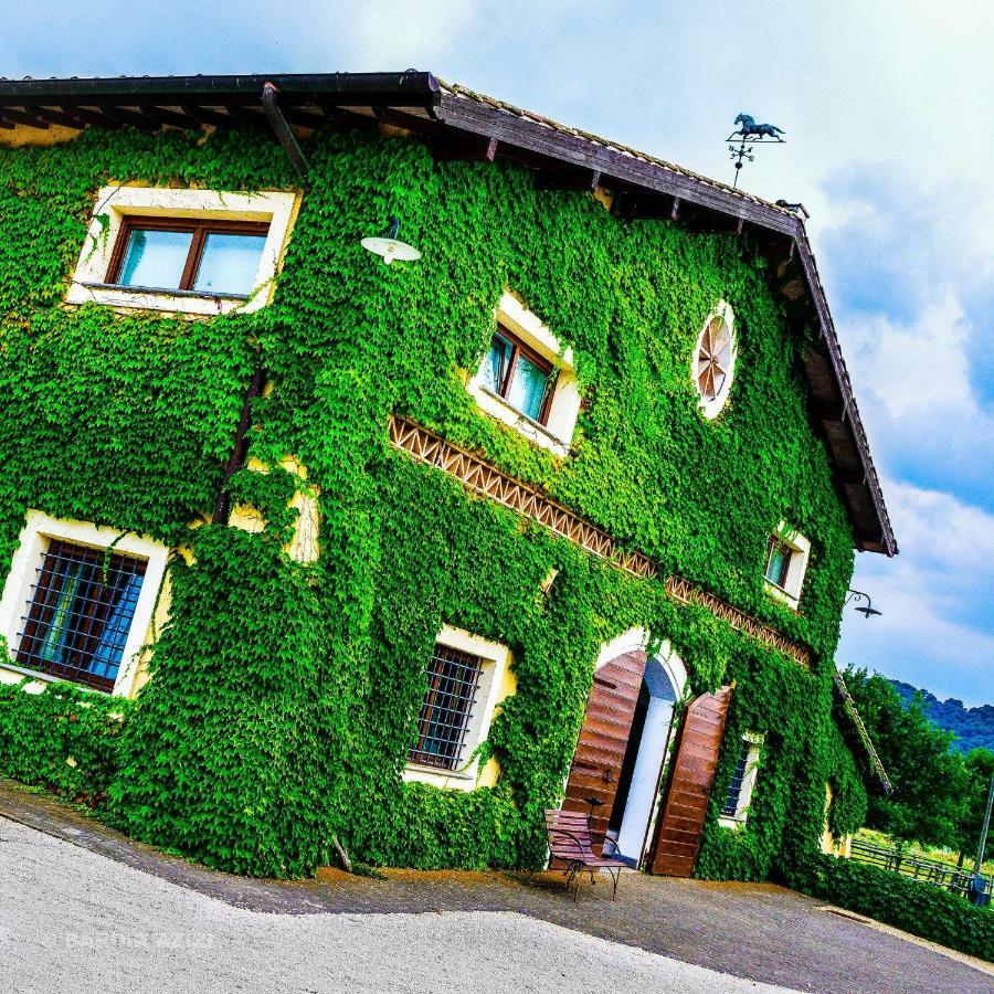 Agriturismo Potrero Grande Sul Lago Di Martignano Con Spiaggia Кампаняно ди Рома Екстериор снимка